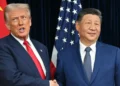 الاجتماع بين ترامب والرئيس الصيني: التوصل لاتفاق للمعادن النادرة .. وخفض الرسوم على الفنتانيل